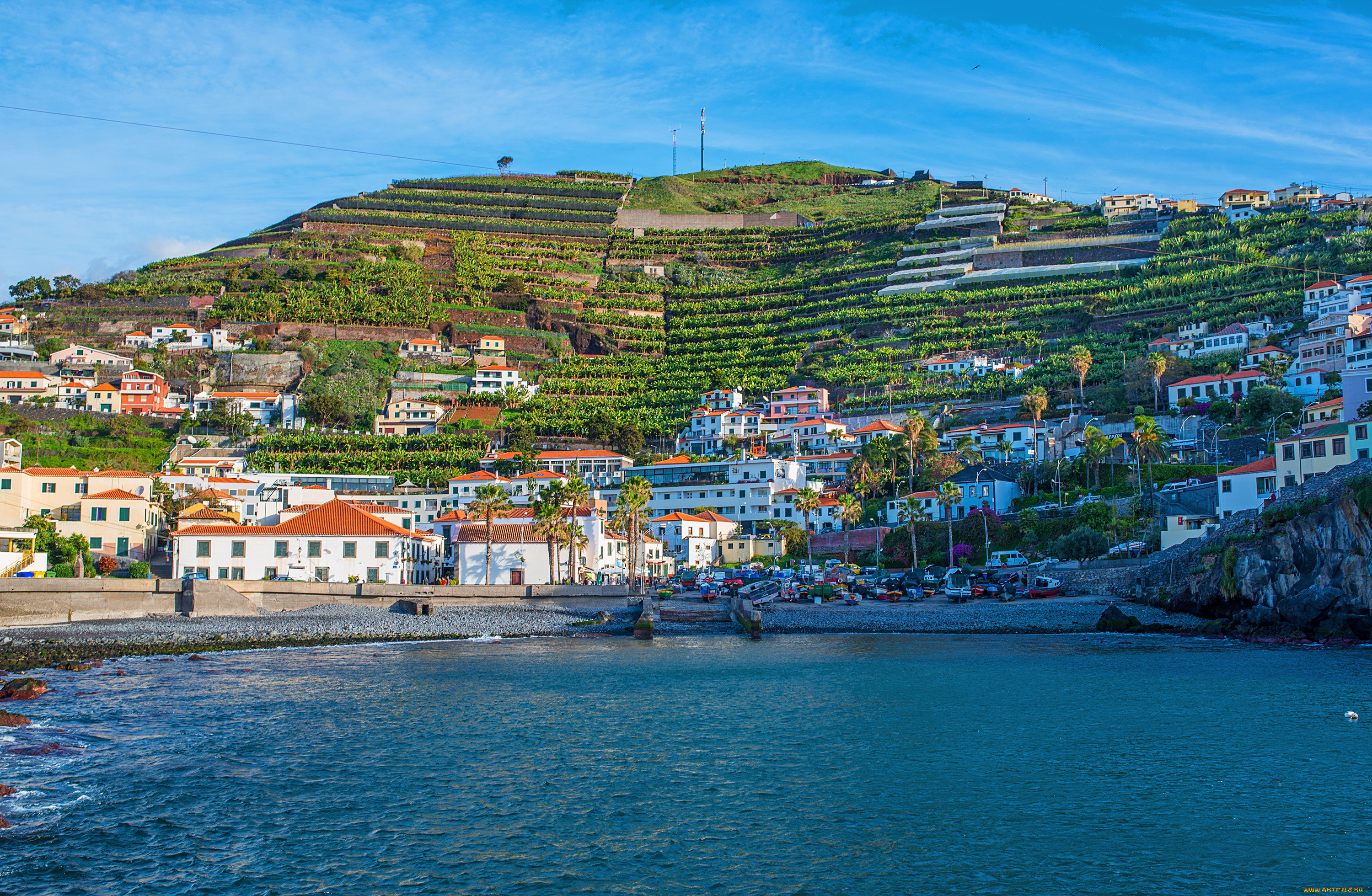 camara de lobos   , , - ,  ,  , , madeira, camara, de, lobos, , , , 